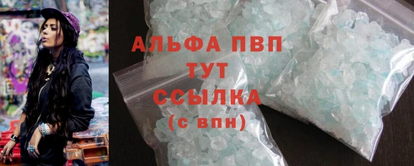 молекула духа Бердск