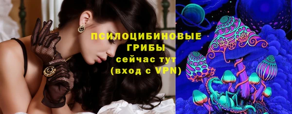 apvp Осинники